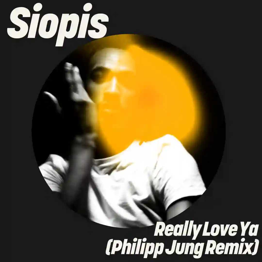 Really Love Ya (Philipp Jung Extended Remix) cover