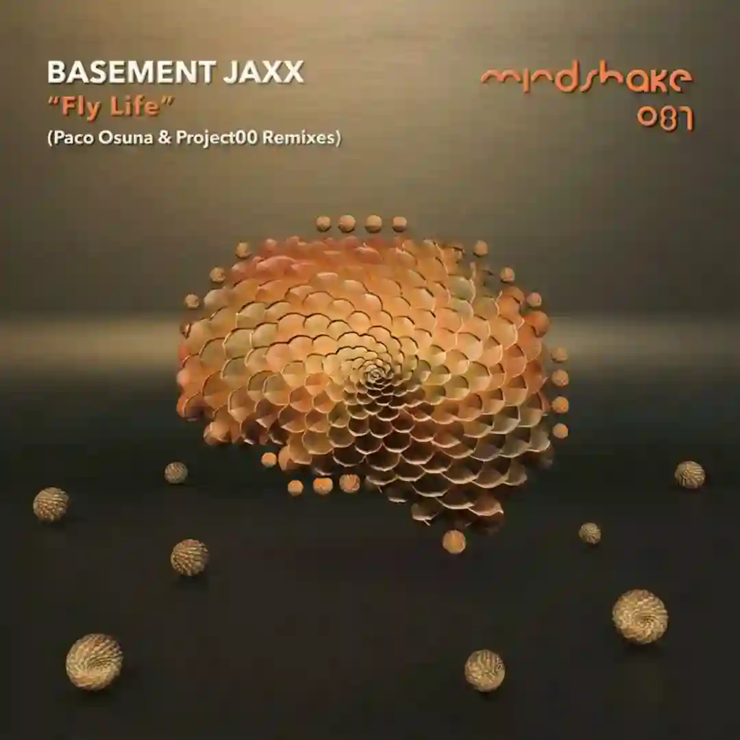Fly Life (Paco Osuna Remix) cover