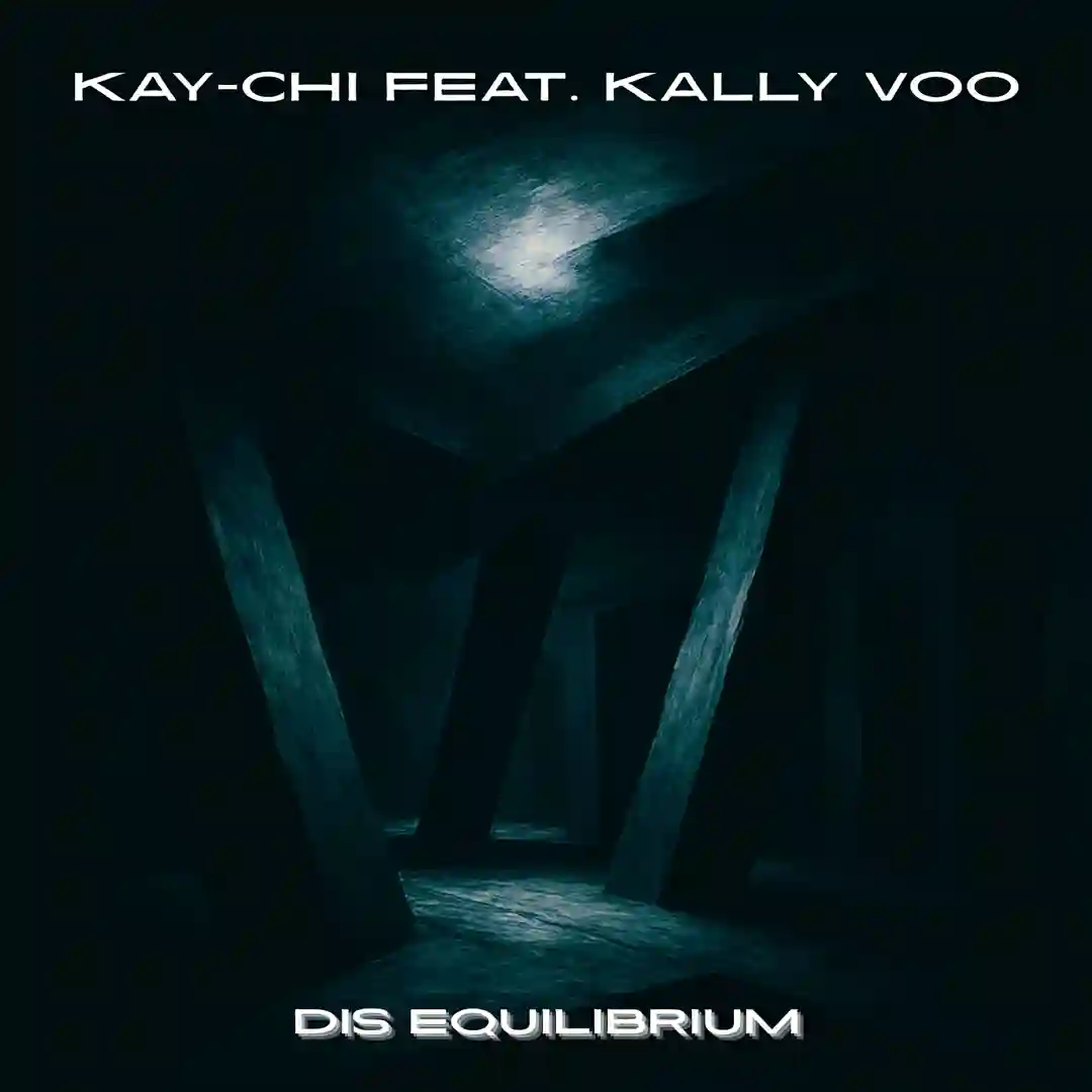 Dis Equilibrium cover