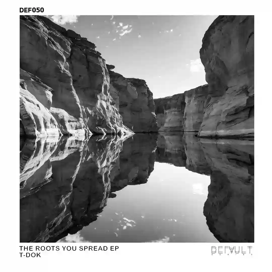 Zetamol (Original Mix) cover