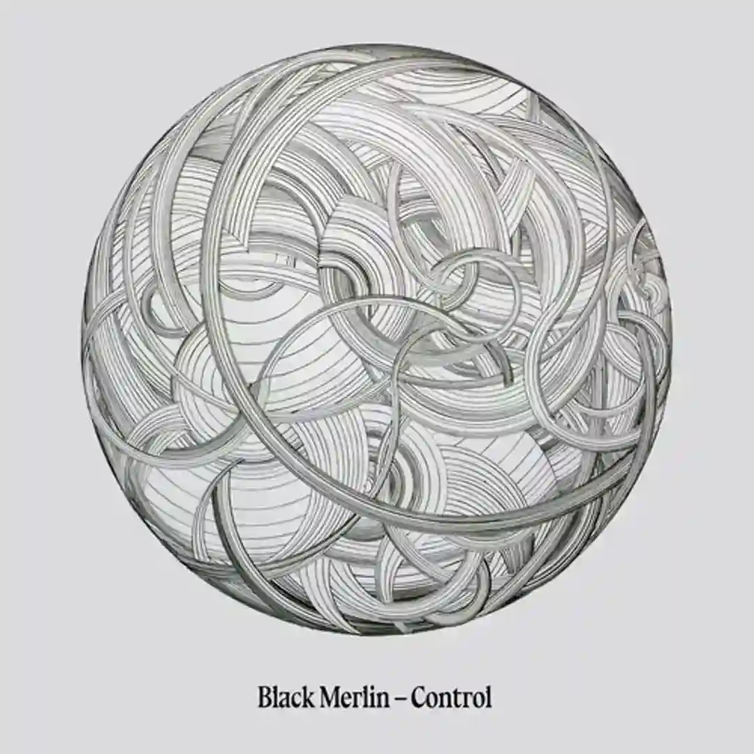 Control (Original Mix) cover