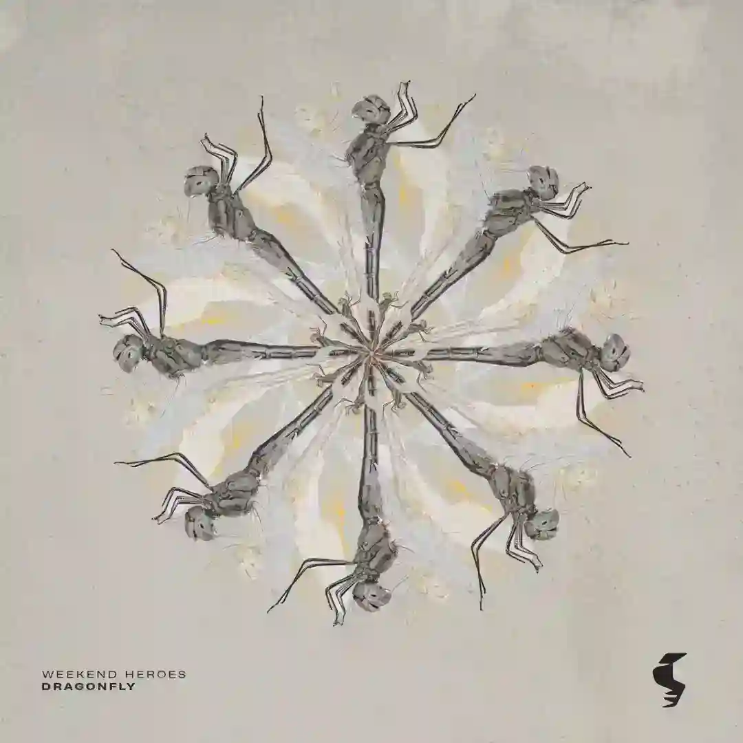 Elevate (Extended Mix) cover
