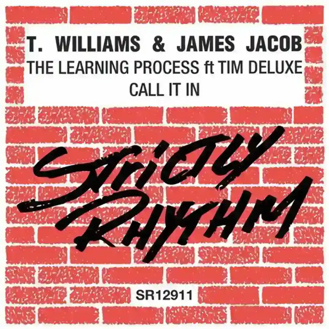 The Learning Process feat. Tim Deluxe (Original Mix) cover
