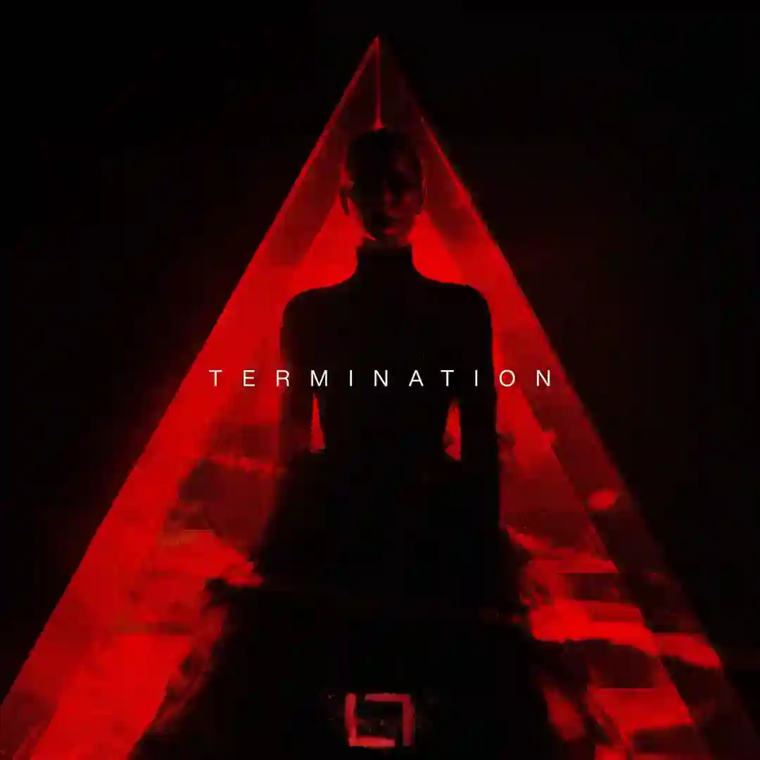 Termination (Original Mix) cover