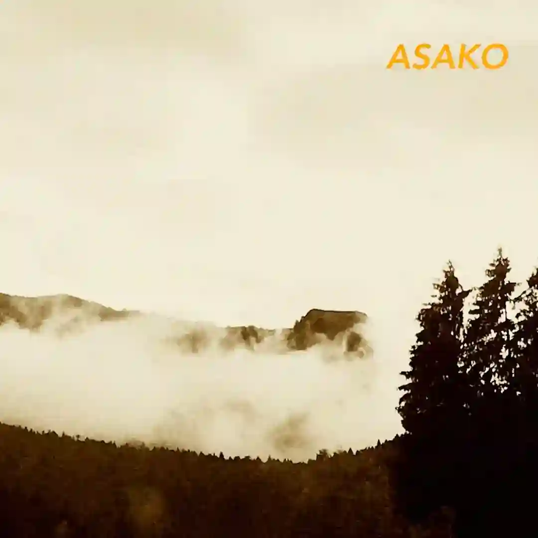 Asako (Original Mix) cover