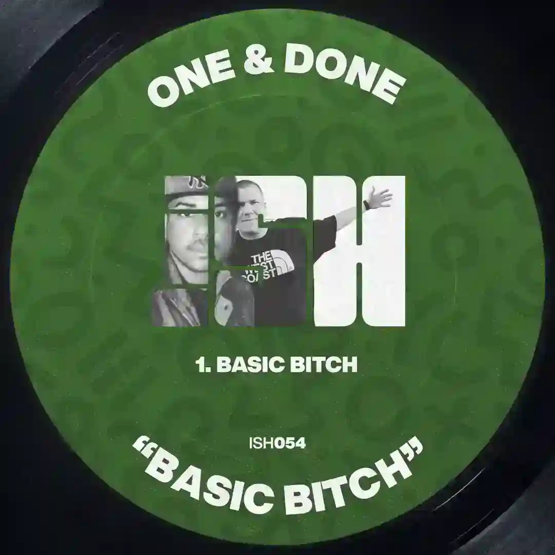 Basic Bitch (Original Mix) cover