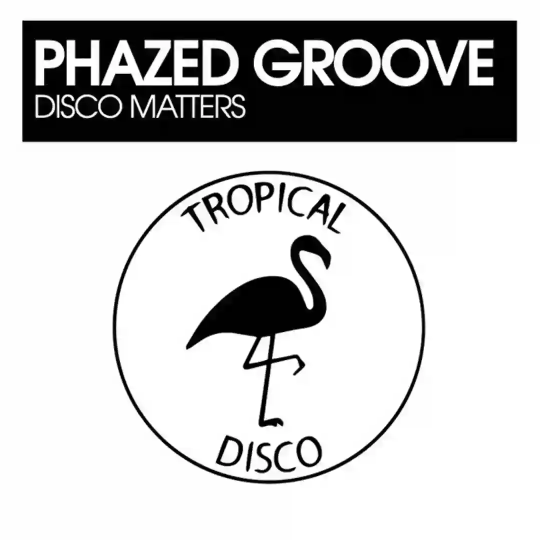 Disco Matters (Original Mix) cover