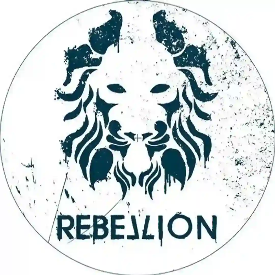 Direction (Original Mix) cover
