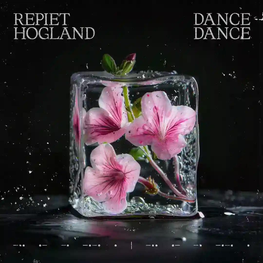 Dance Dance (Extended Mix) cover