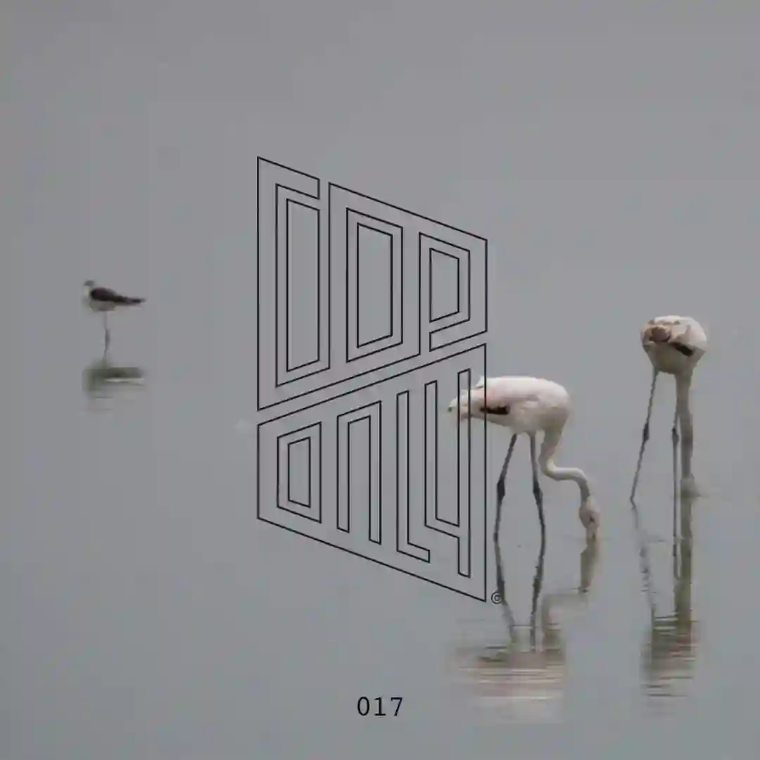 Jealous of The Birds cover