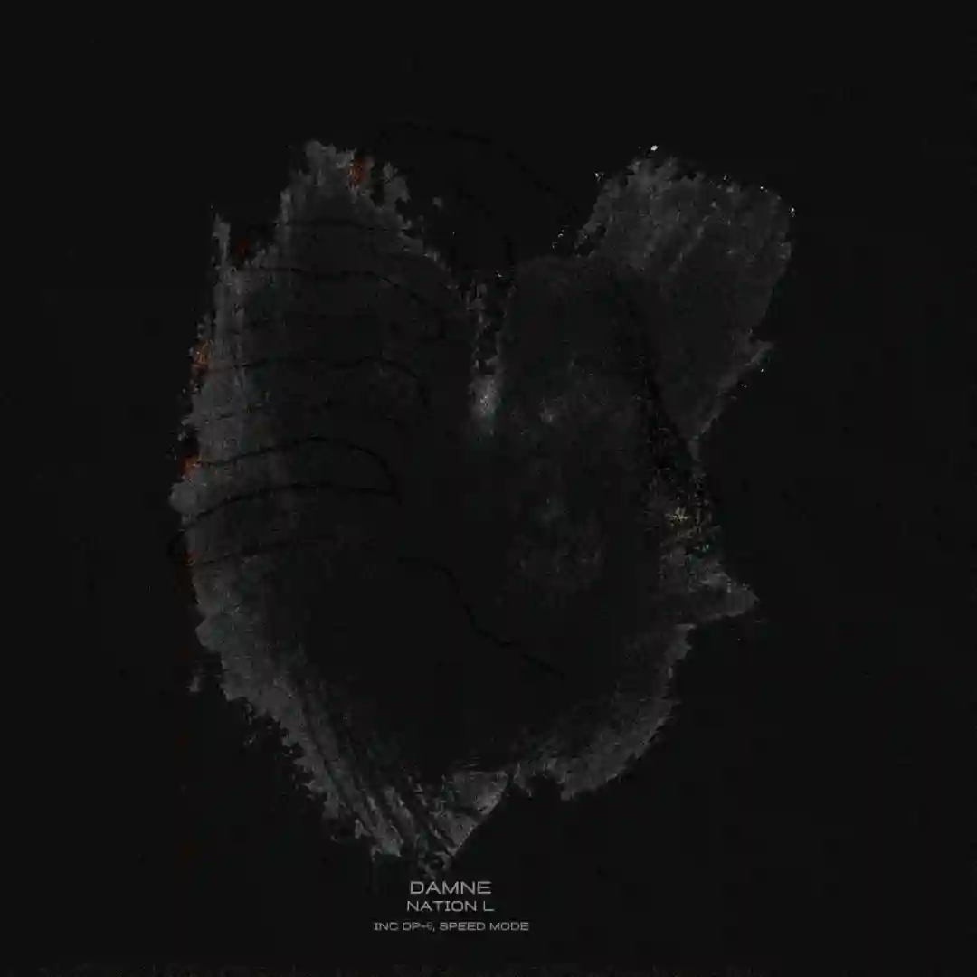 Nation L (Speed Mode Remix) cover