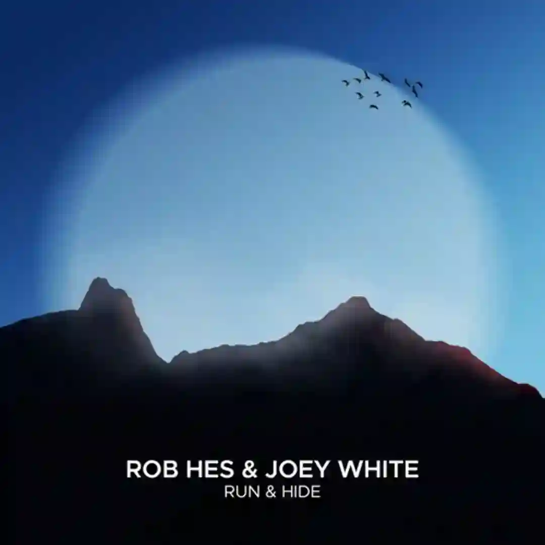 Run & Hide (Extended Mix) cover