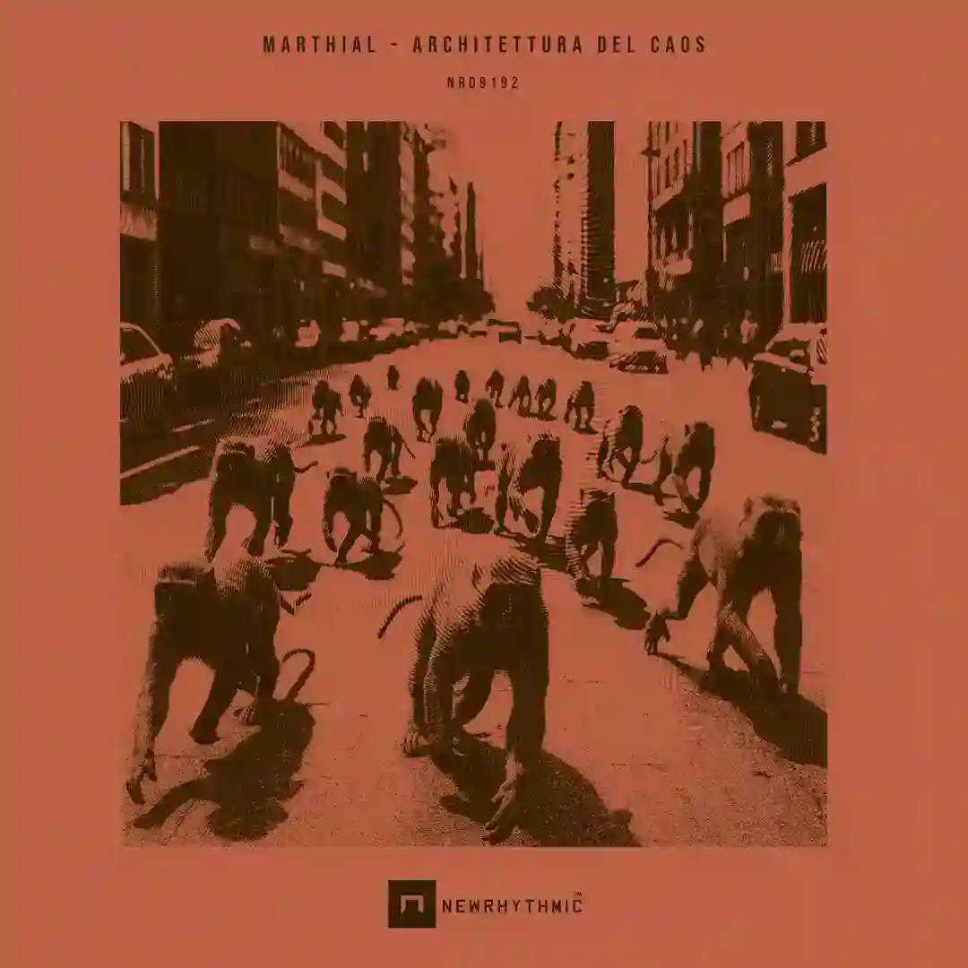 Rovine Metropolitane (Original Mix) cover