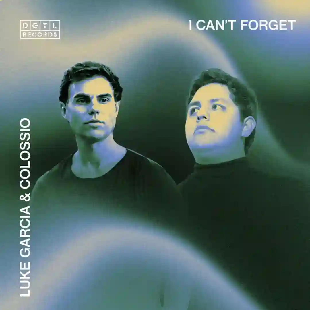 I Can't Forget cover