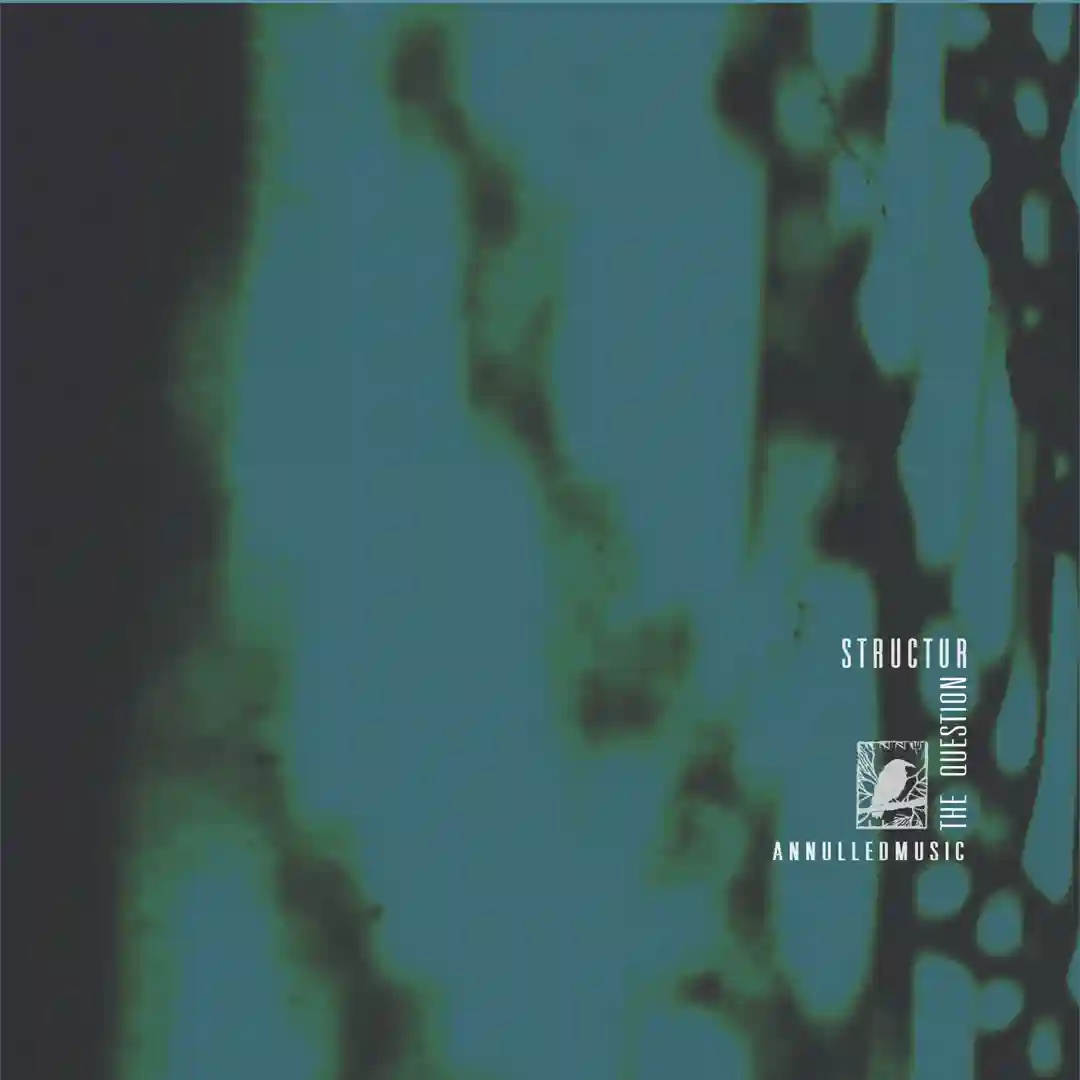 The Question (Original Mix) cover