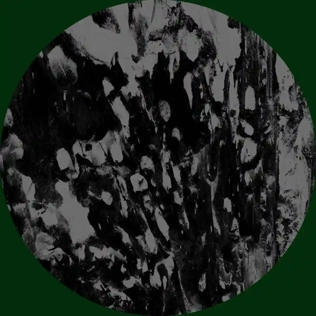Disillusions cover