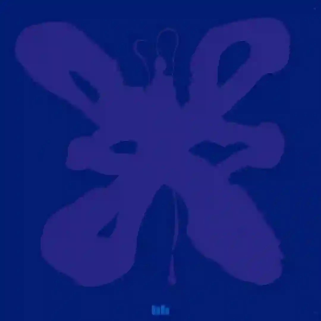 Nuna cover