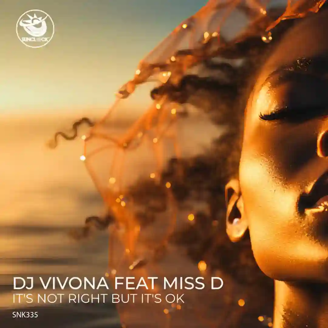 It's Not Right But It's Ok (Original Mix) cover