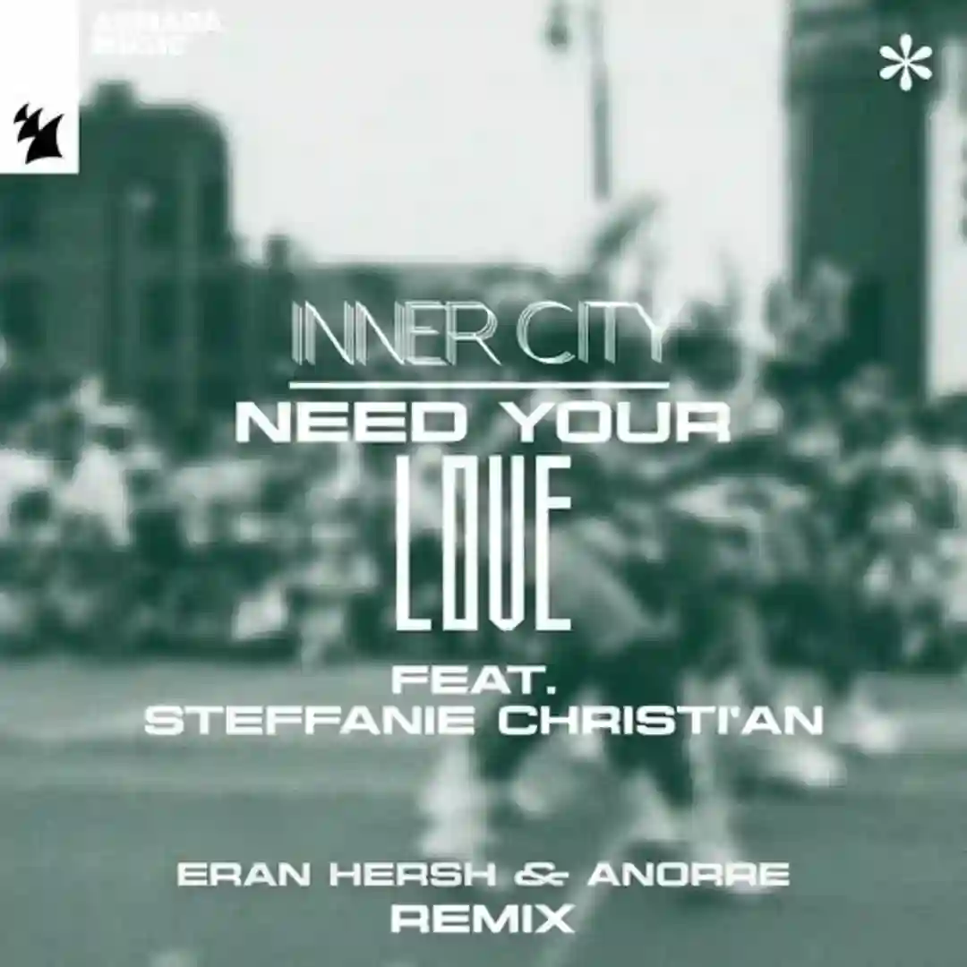 Need Your Love feat. Steffanie Christi'an (Eran Hersh & Anorre Extended Remix) cover