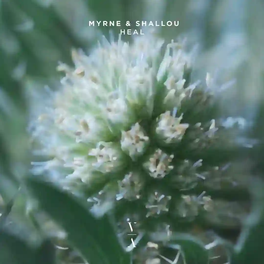 Heal (Extended Mix) cover