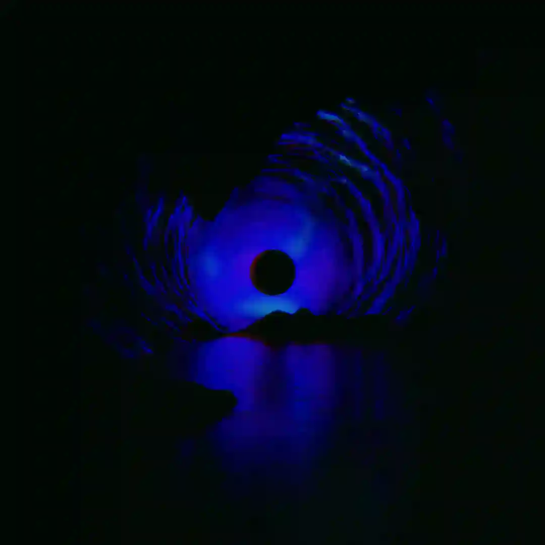 Lucid Interpretations cover