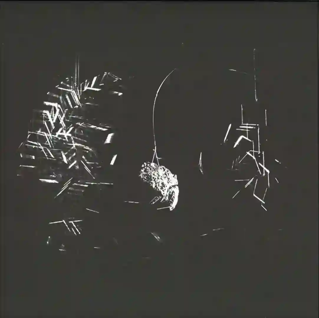 Perceptual EP cover