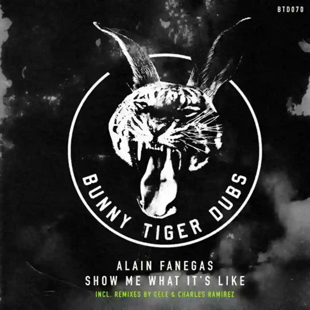 Show Me What It's Like (Cele Remix) cover