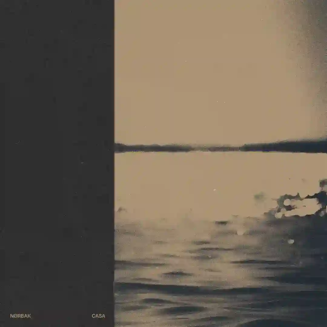 Tarefa (Original Mix) cover