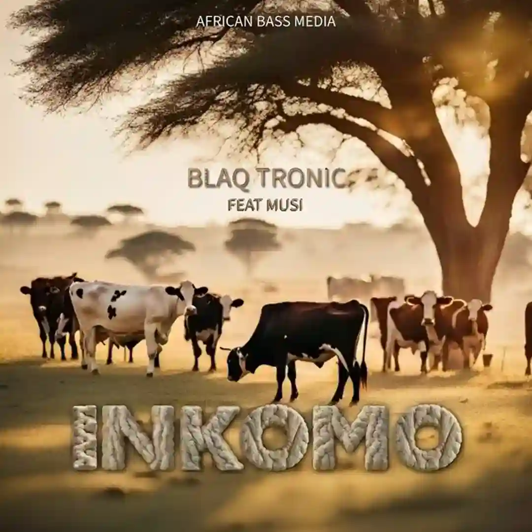 Inkomo (Radio Edit) cover