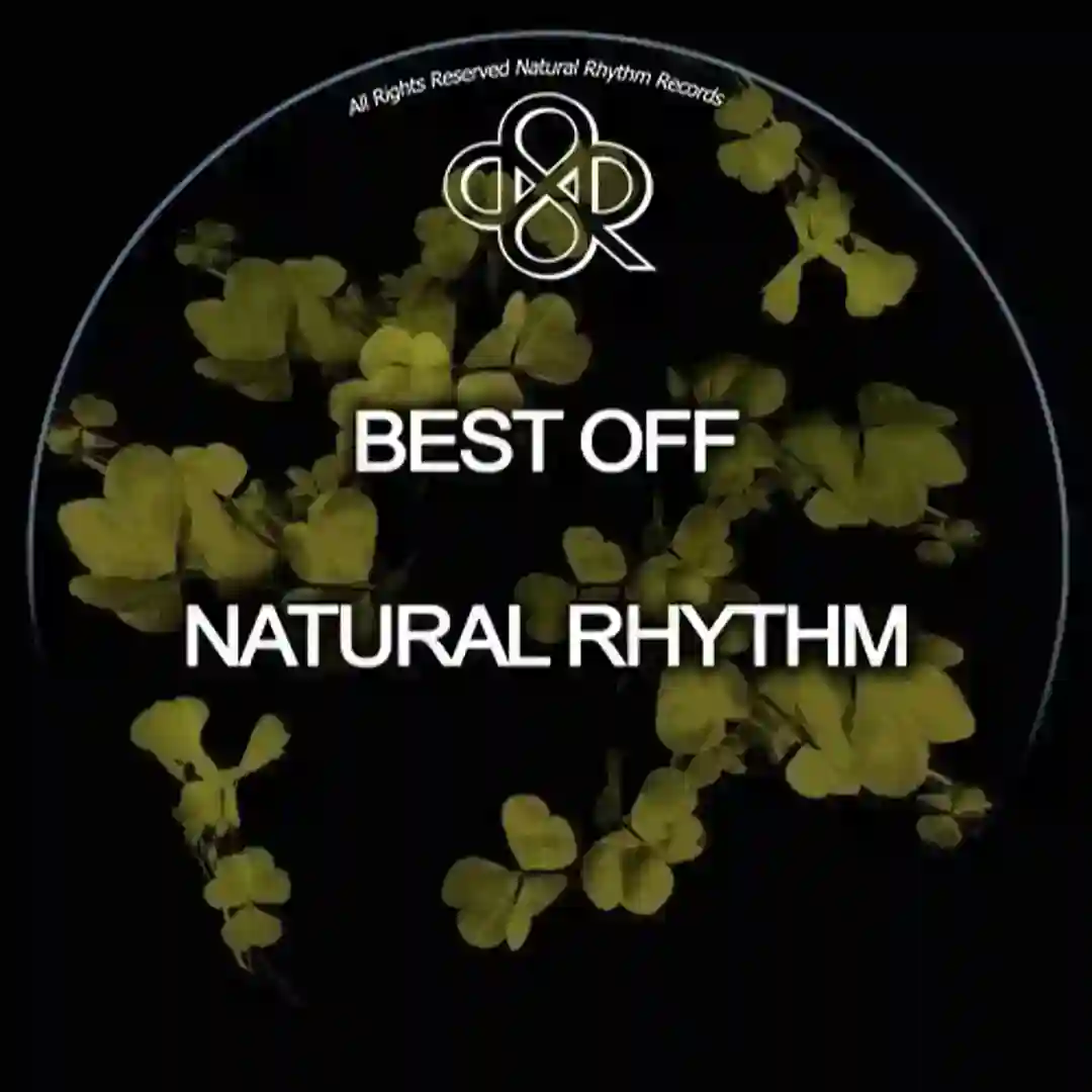 Kolsh (Original Mix) cover