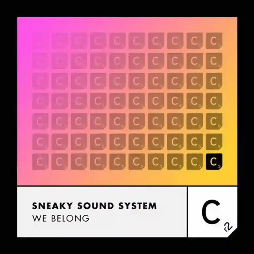 We Belong (Extended Mix) cover