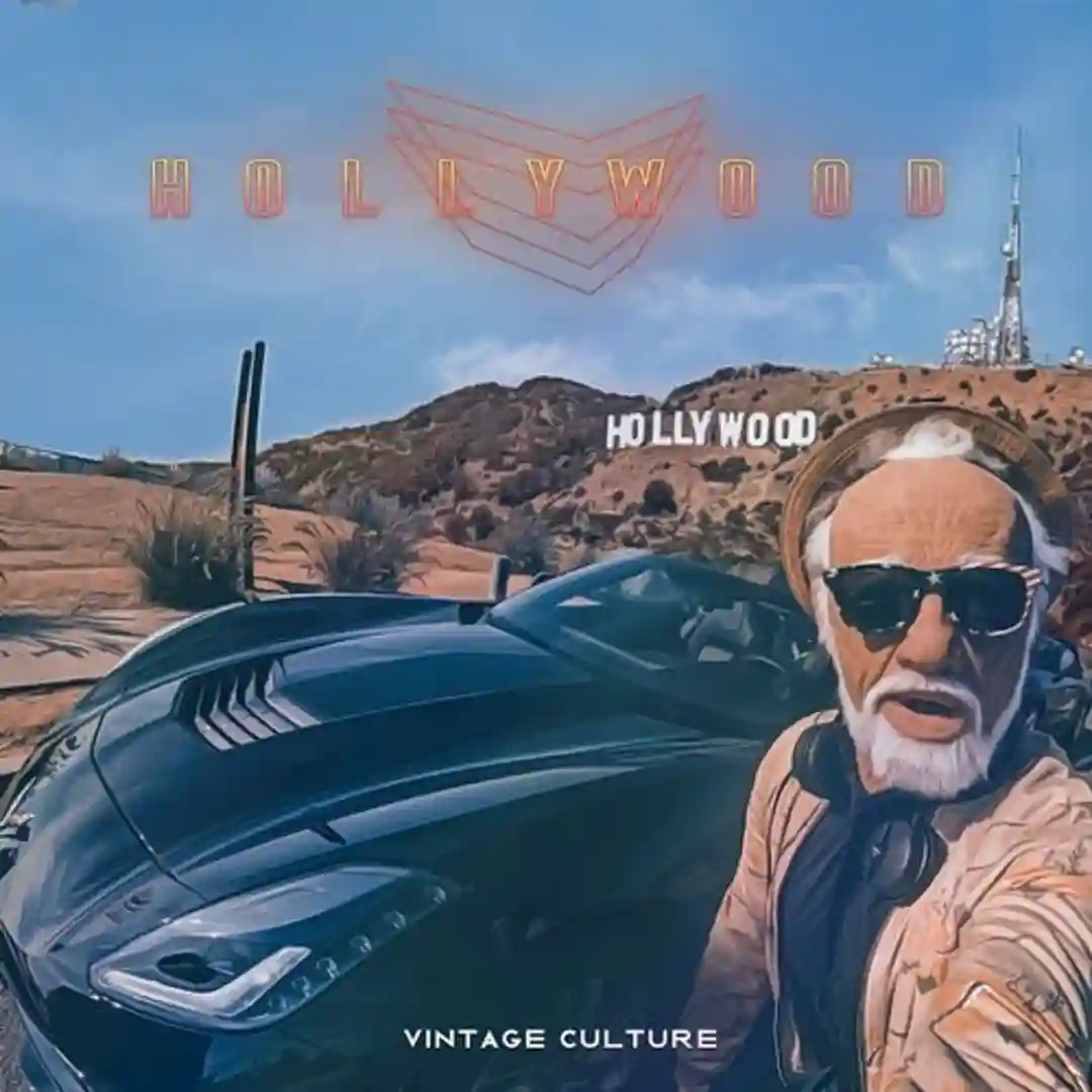 Do You Remember (Vintage Culture Remix) cover