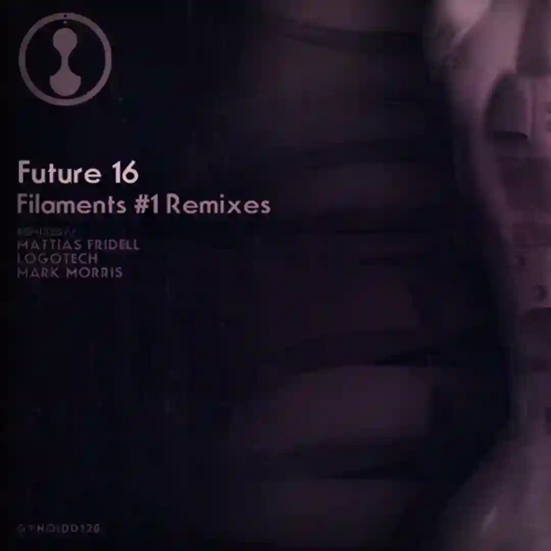 Filaments #1 Remixes cover