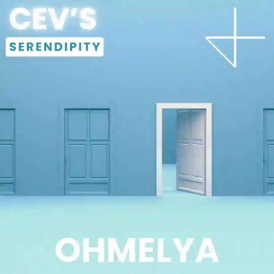 Serendipity cover