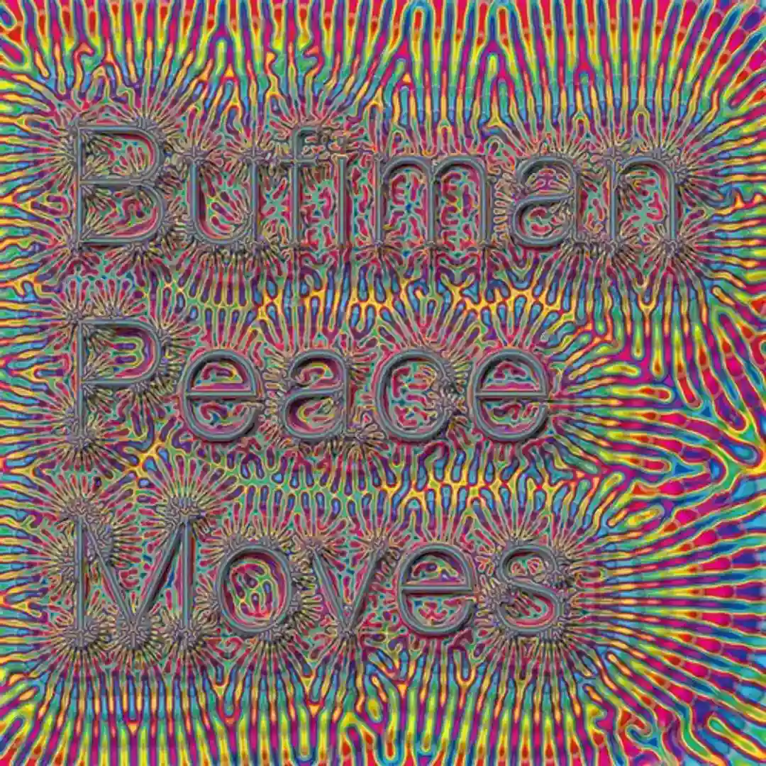 Peace Moves (DJ Normal 4 Ever Armistice Mix) cover