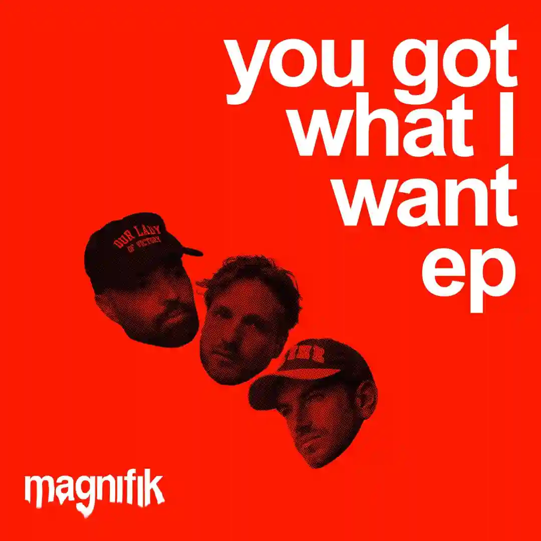 You Got What I Want (Original Mix) cover