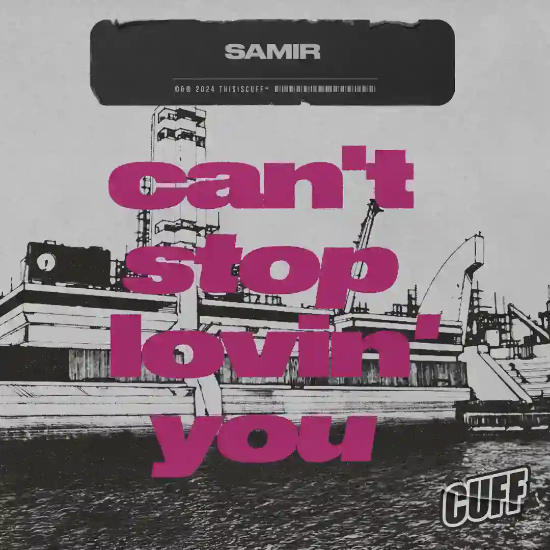 Can't Stop Lovin' You cover