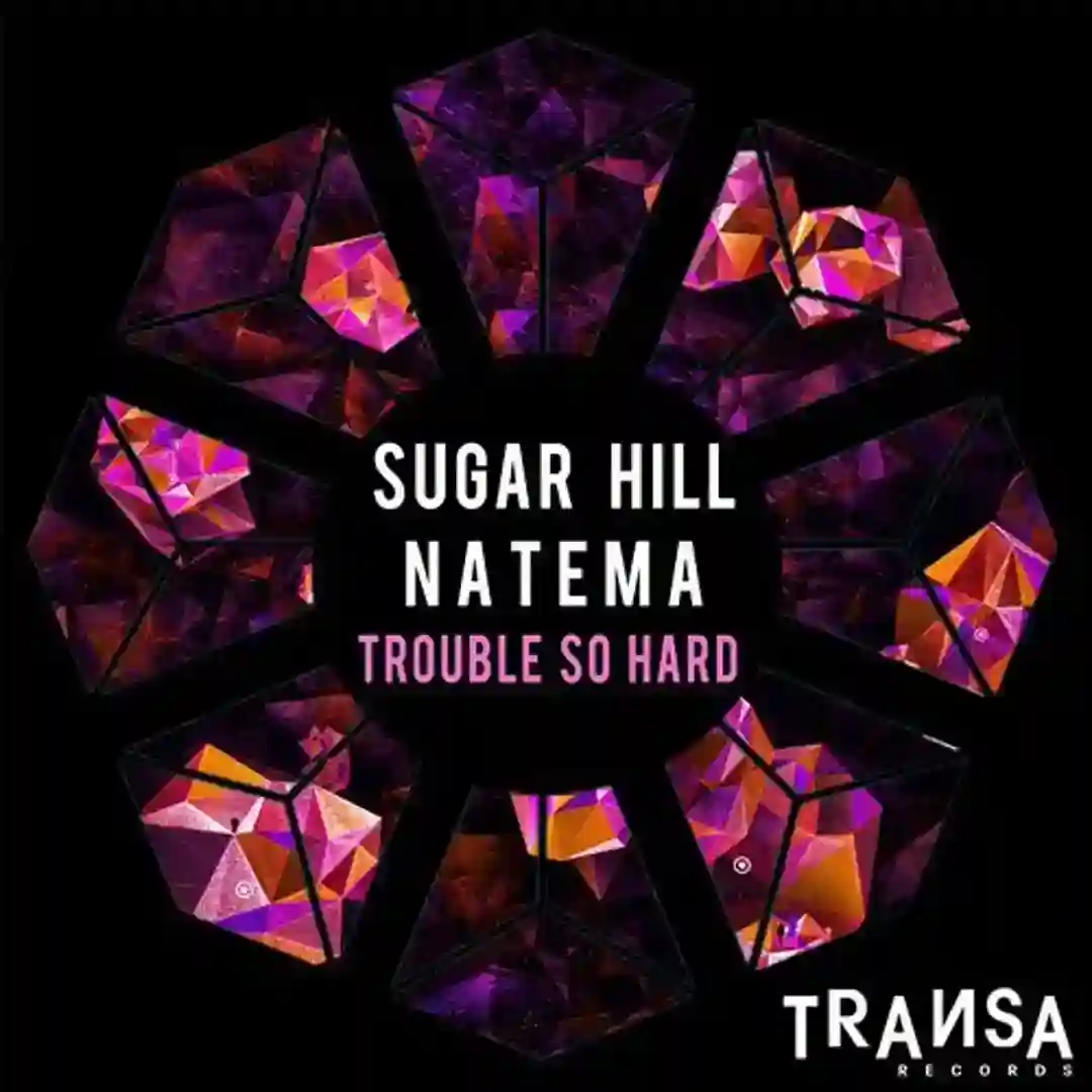 Trouble So Hard cover