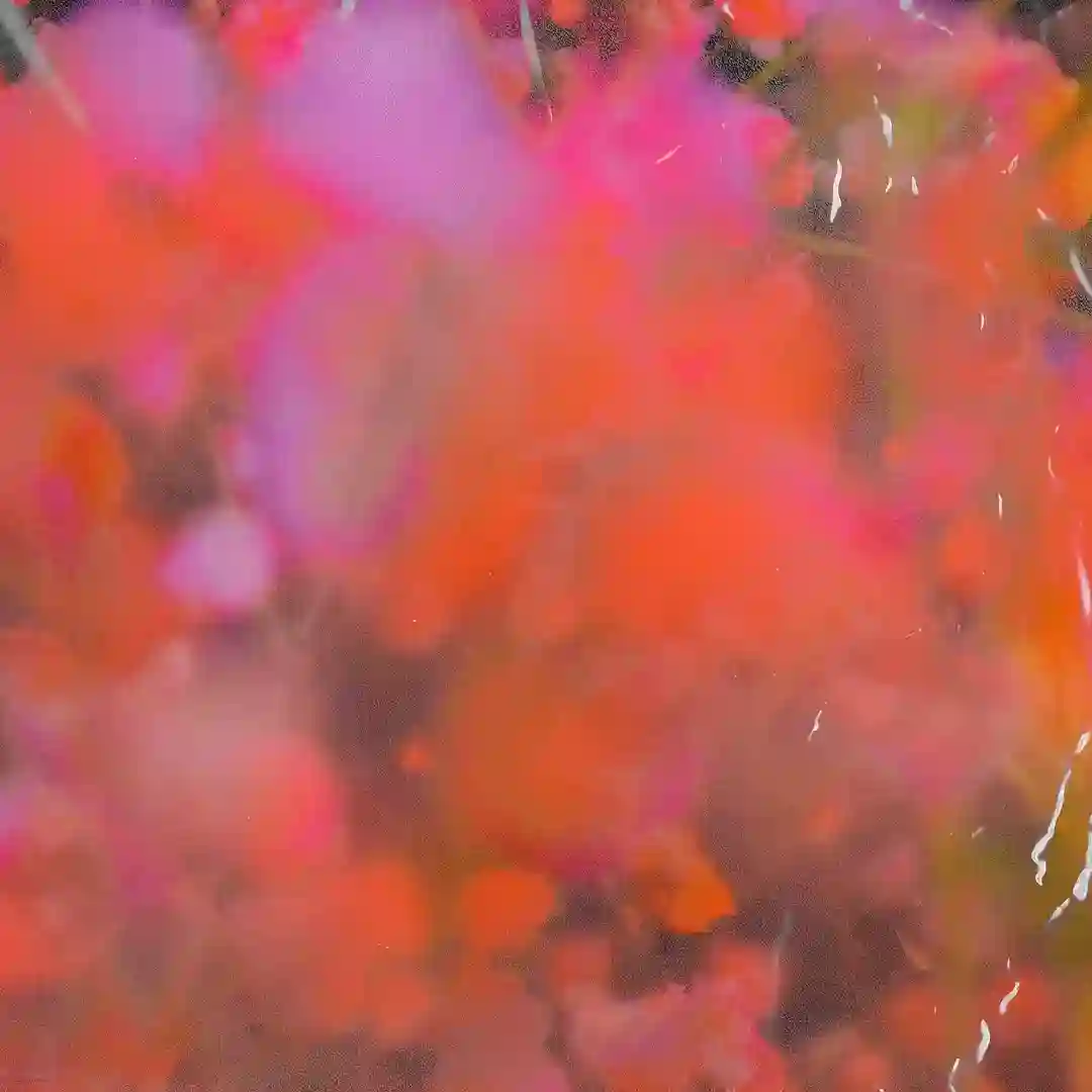 Muscaria (Cravo Remix) cover