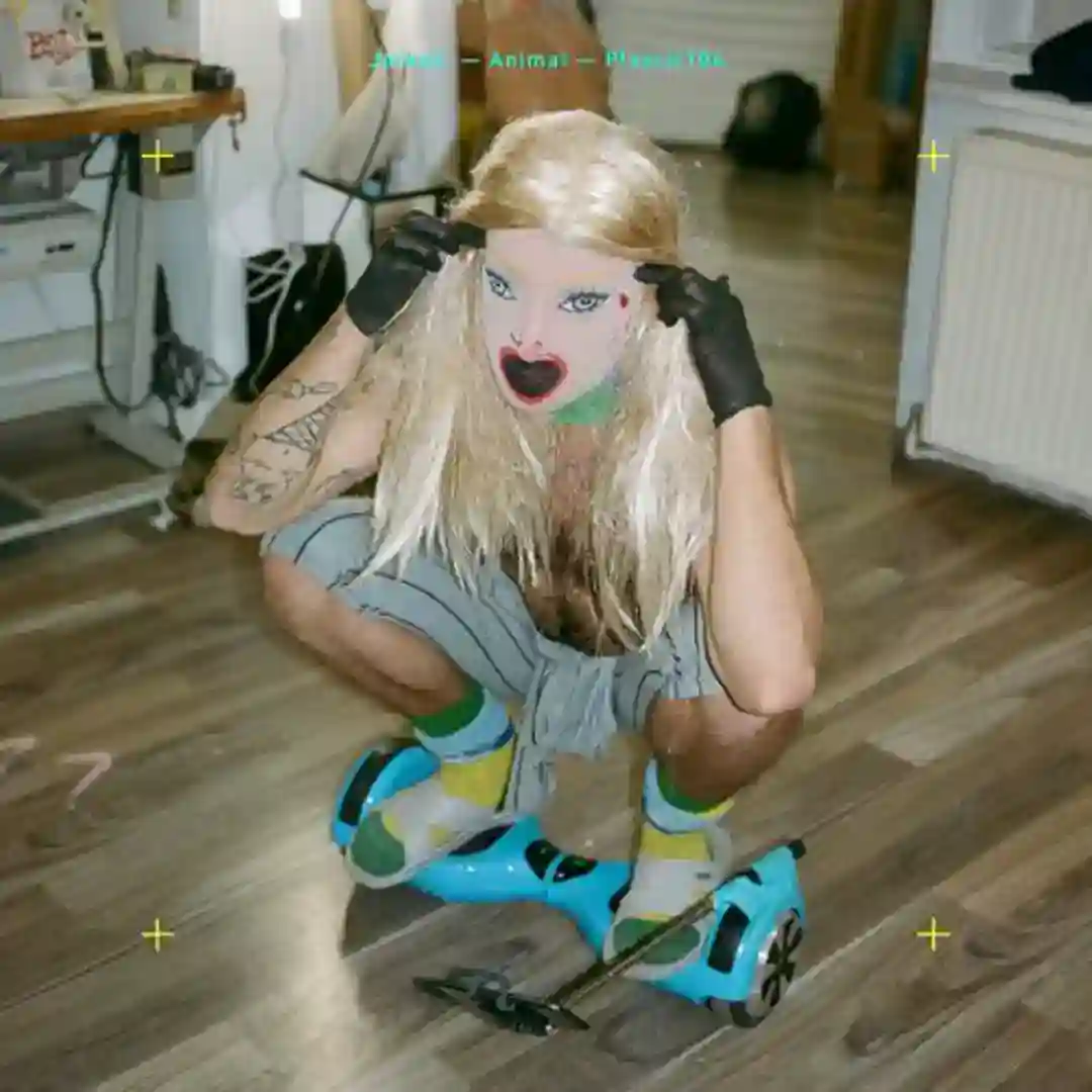 Animal cover