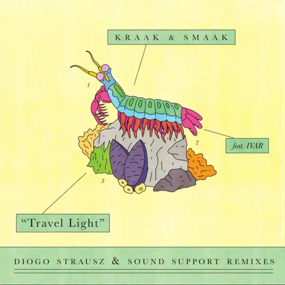 Travel Light (Diogo Strausz Remix) cover