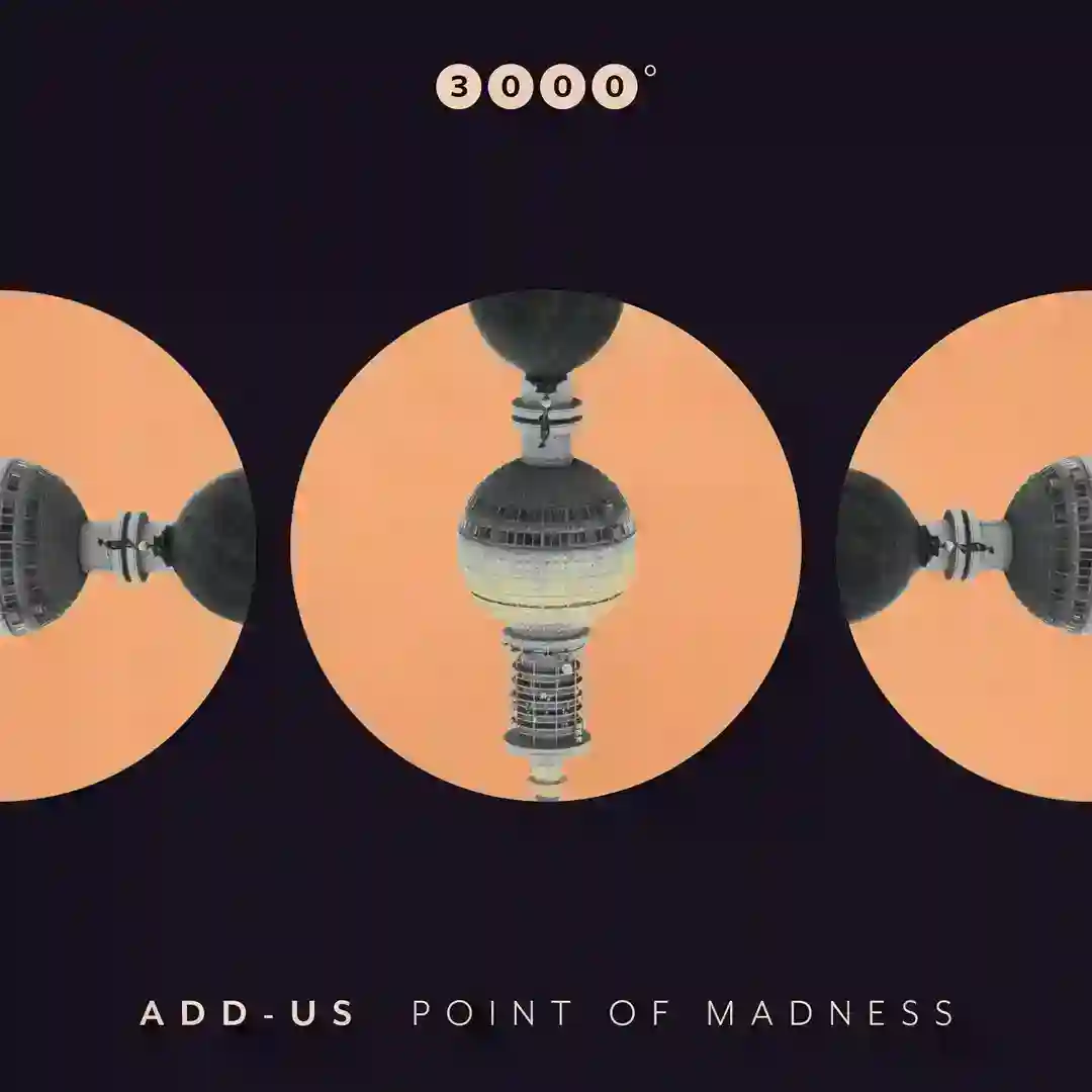 Point of Madness cover