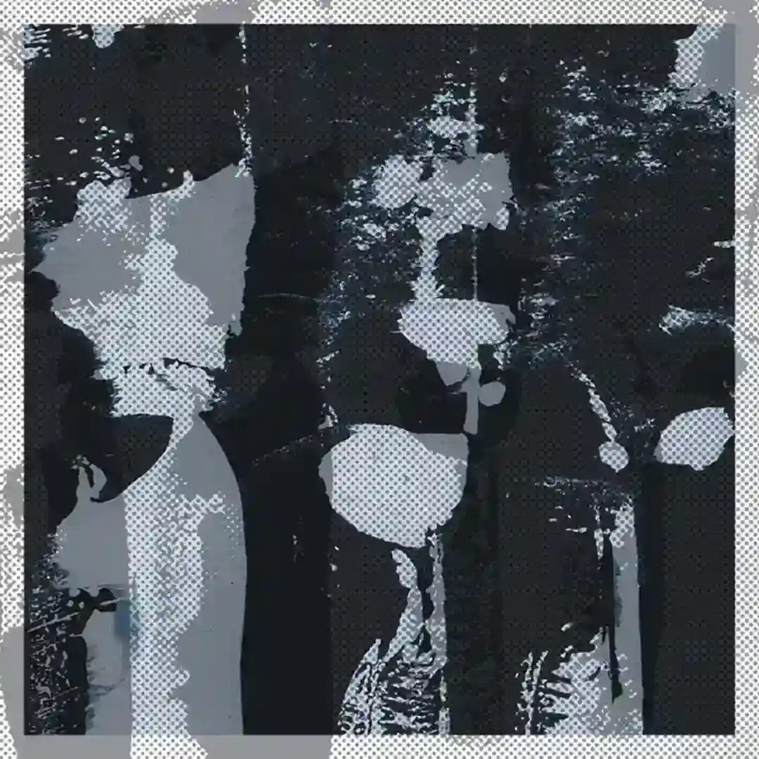 particle cover