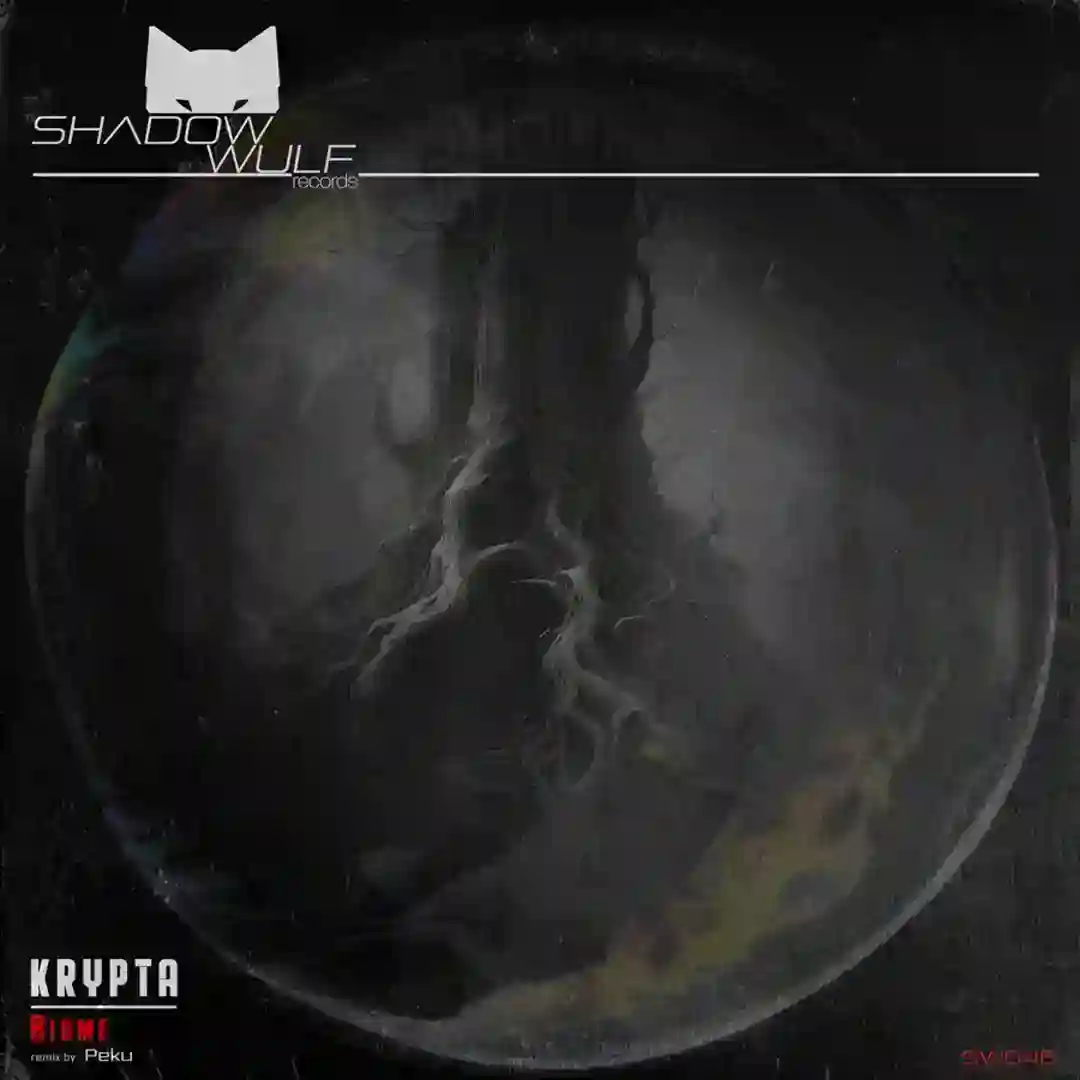 Robotic Whisper cover