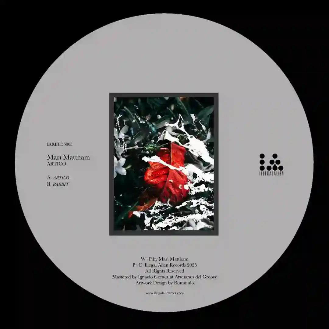 Rabbit (Original Mix) cover