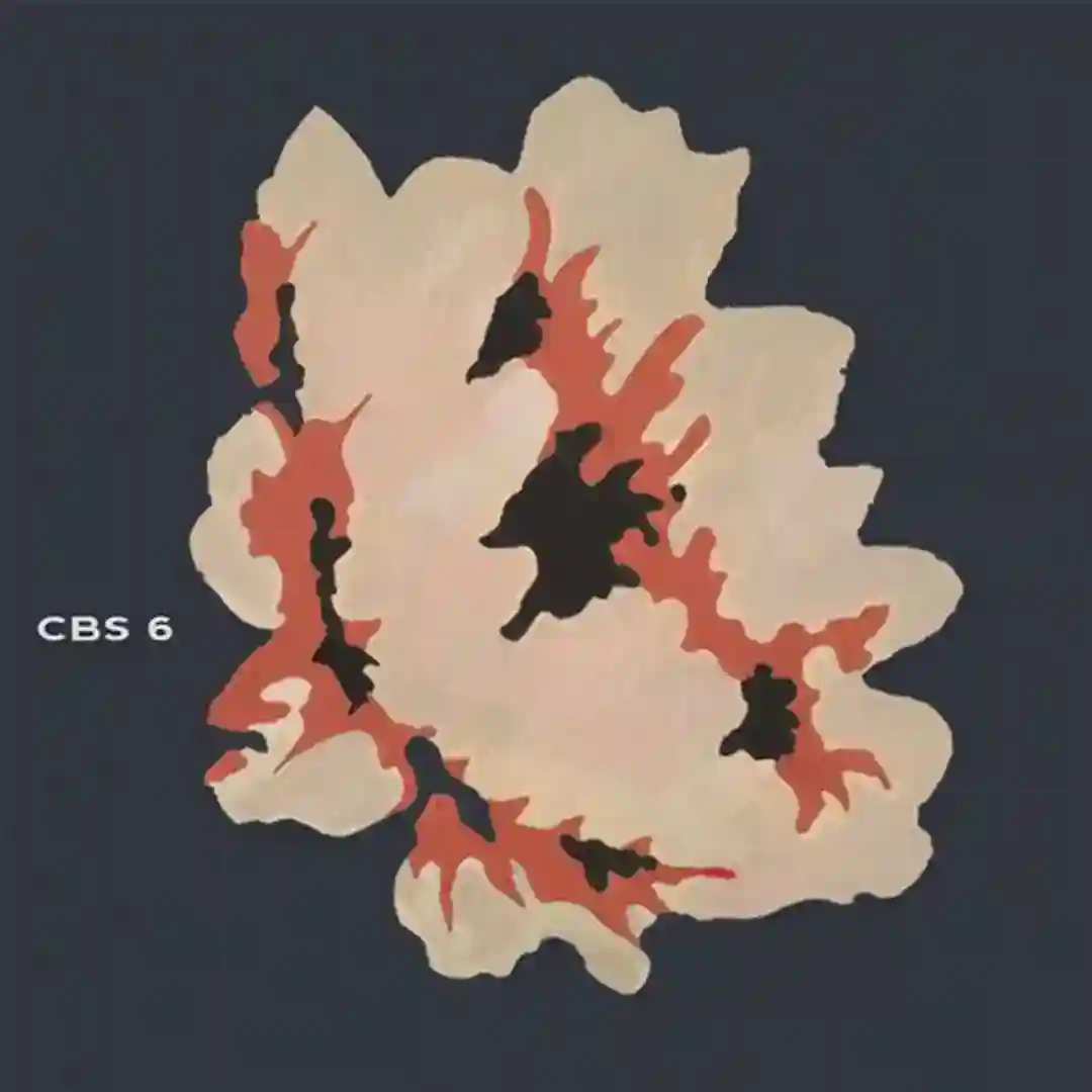 CB Session 6 cover
