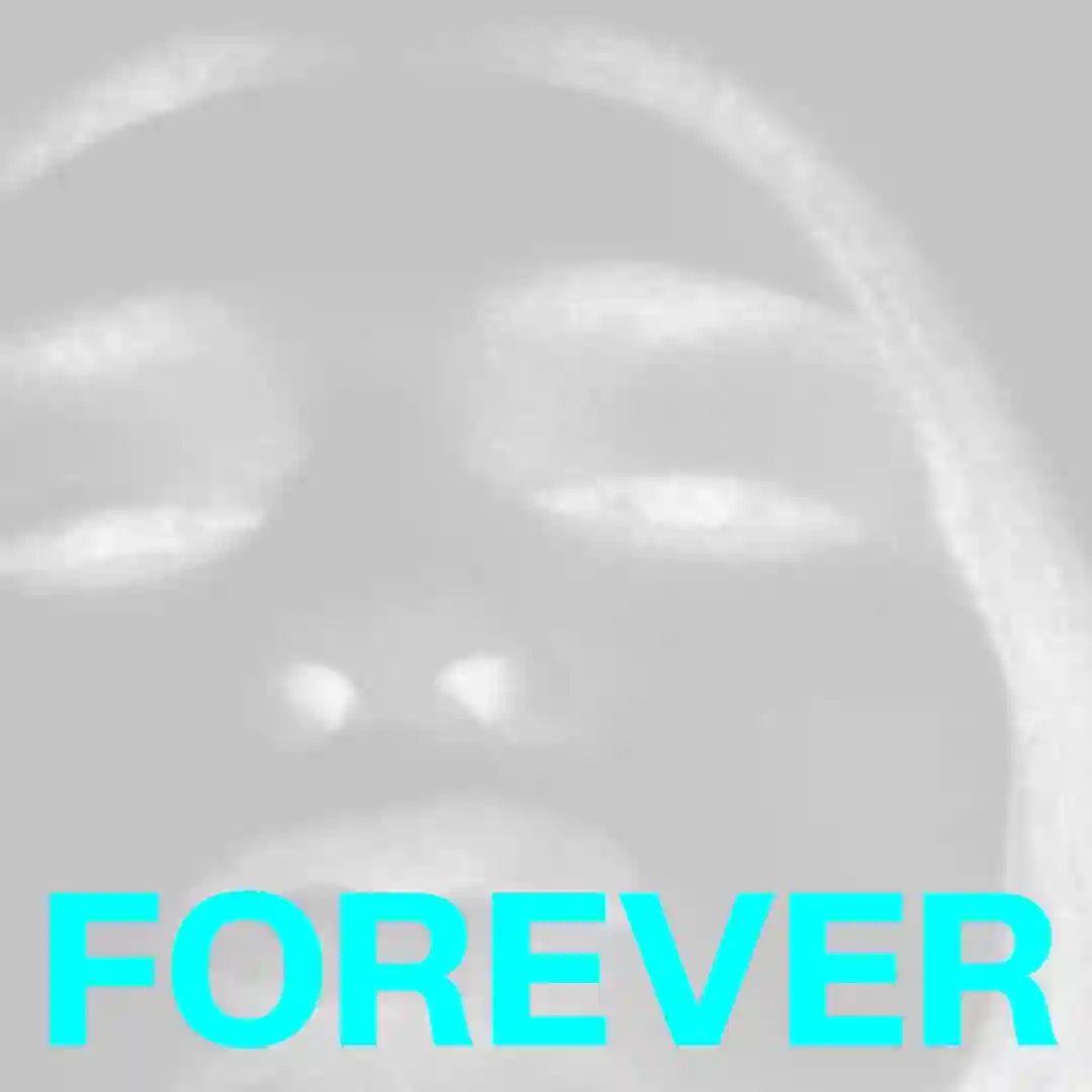Forever cover