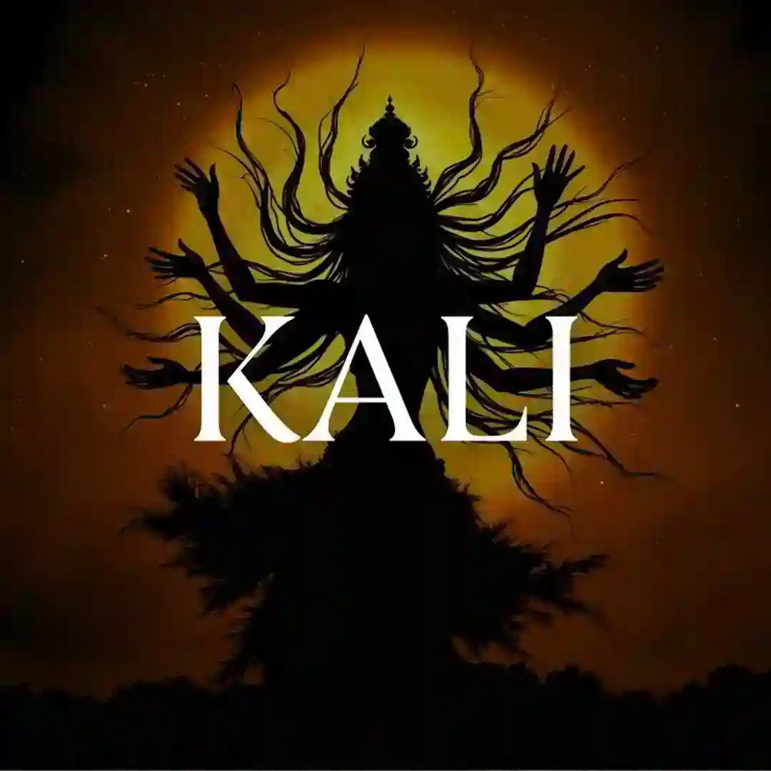KALI cover