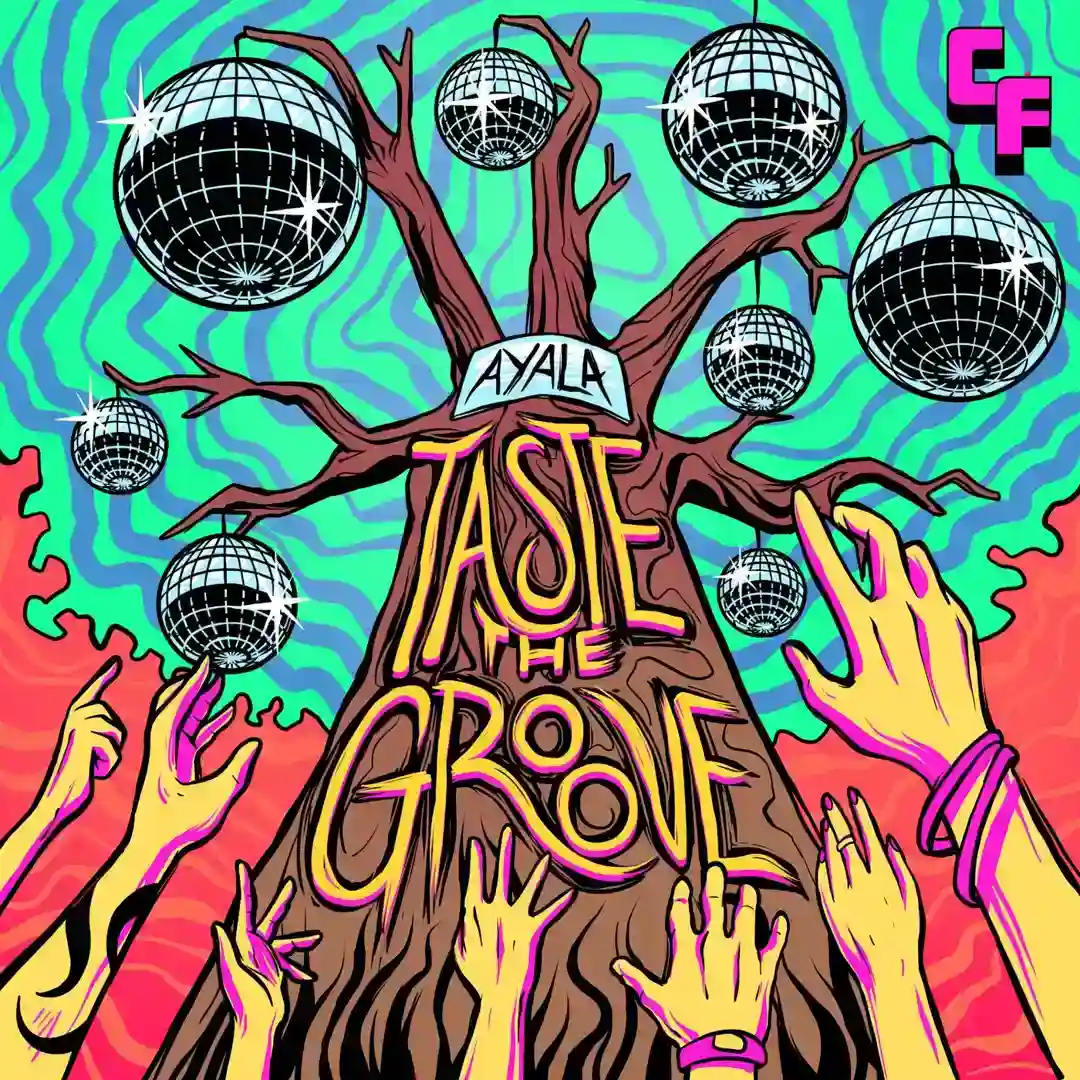 Taste The Groove (Original Mix) cover