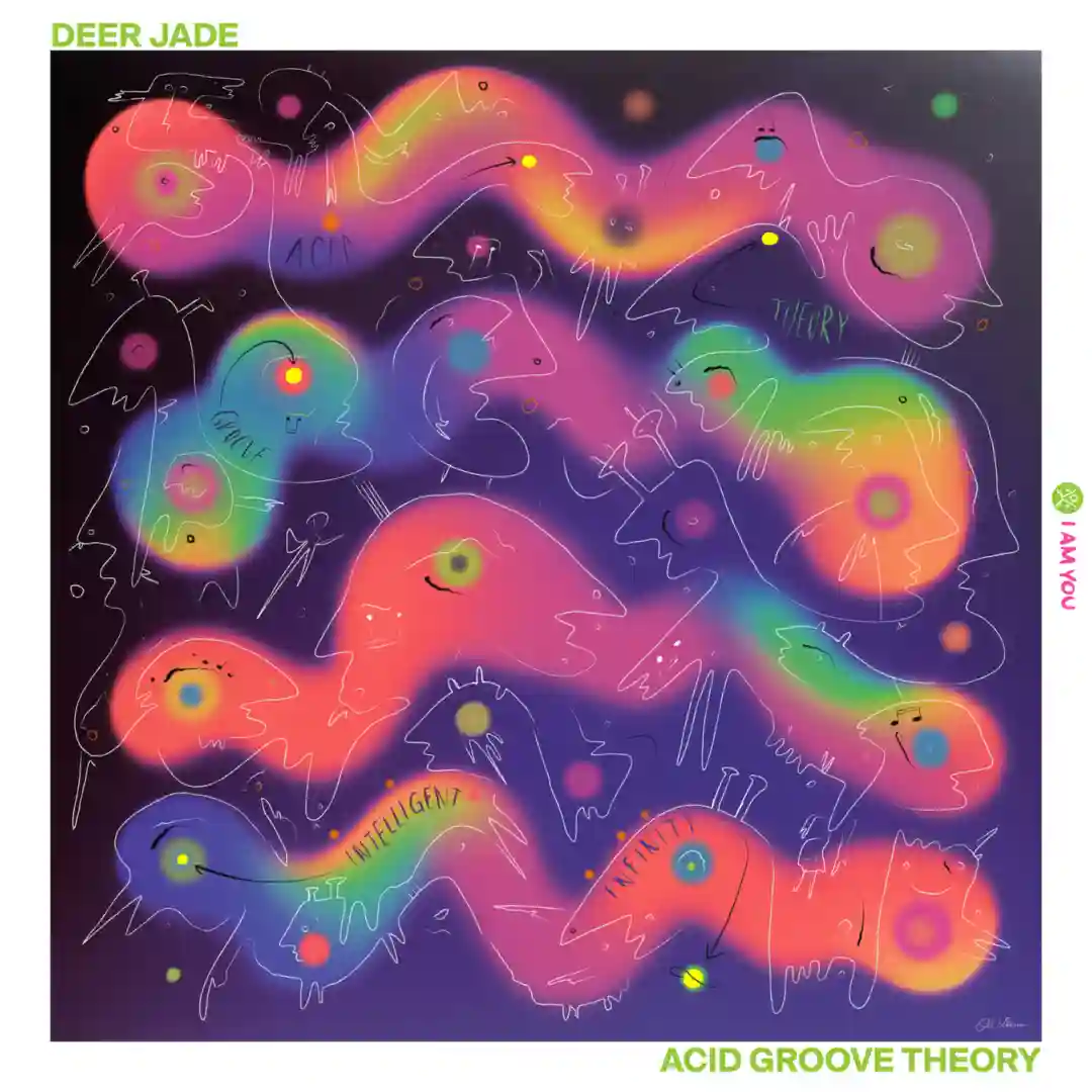 Acid Groove Theory cover